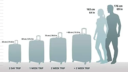 Briggs & Riley ZDX-Expandable Luggage with 4 Spinner Wheels