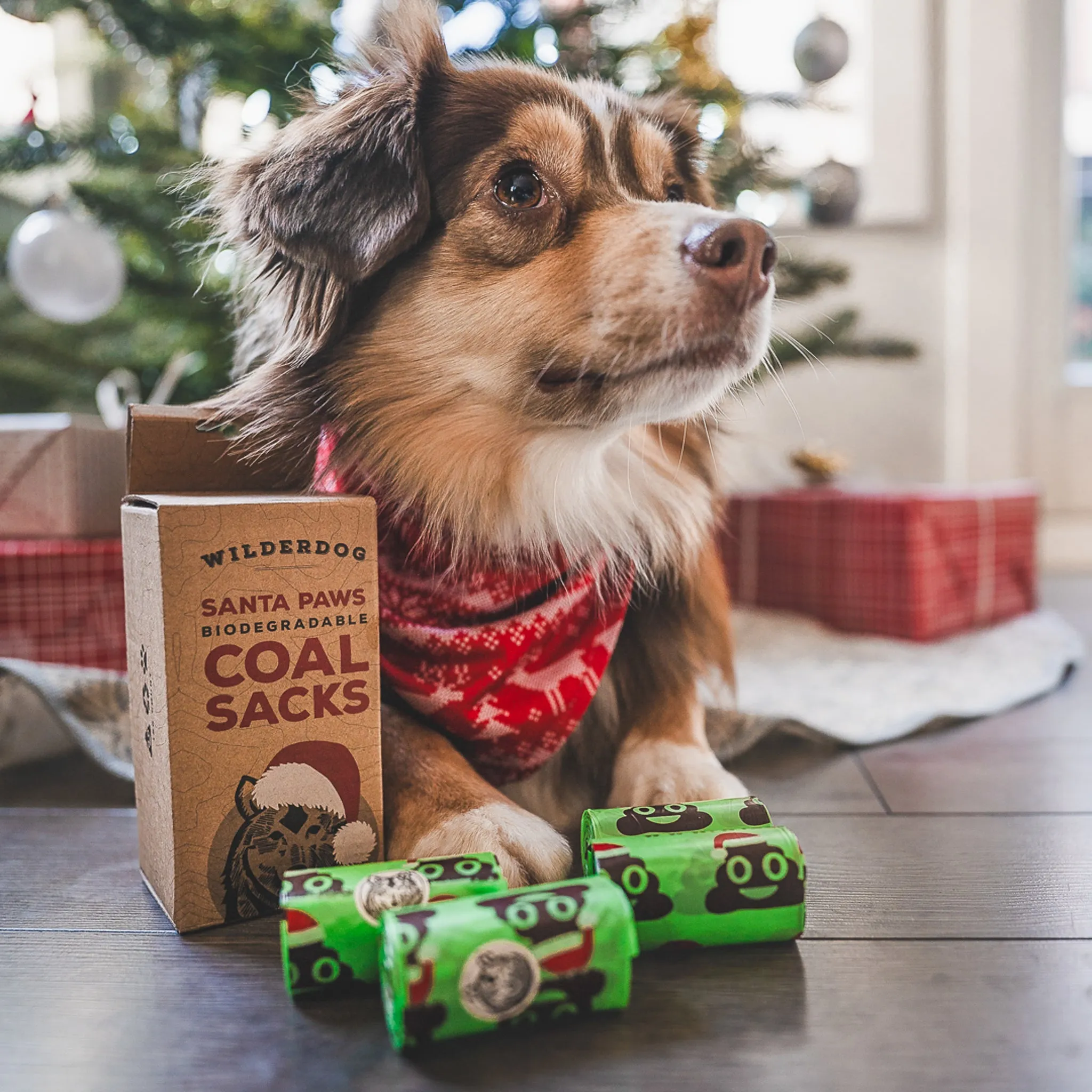 Santa Paws Poop Bags