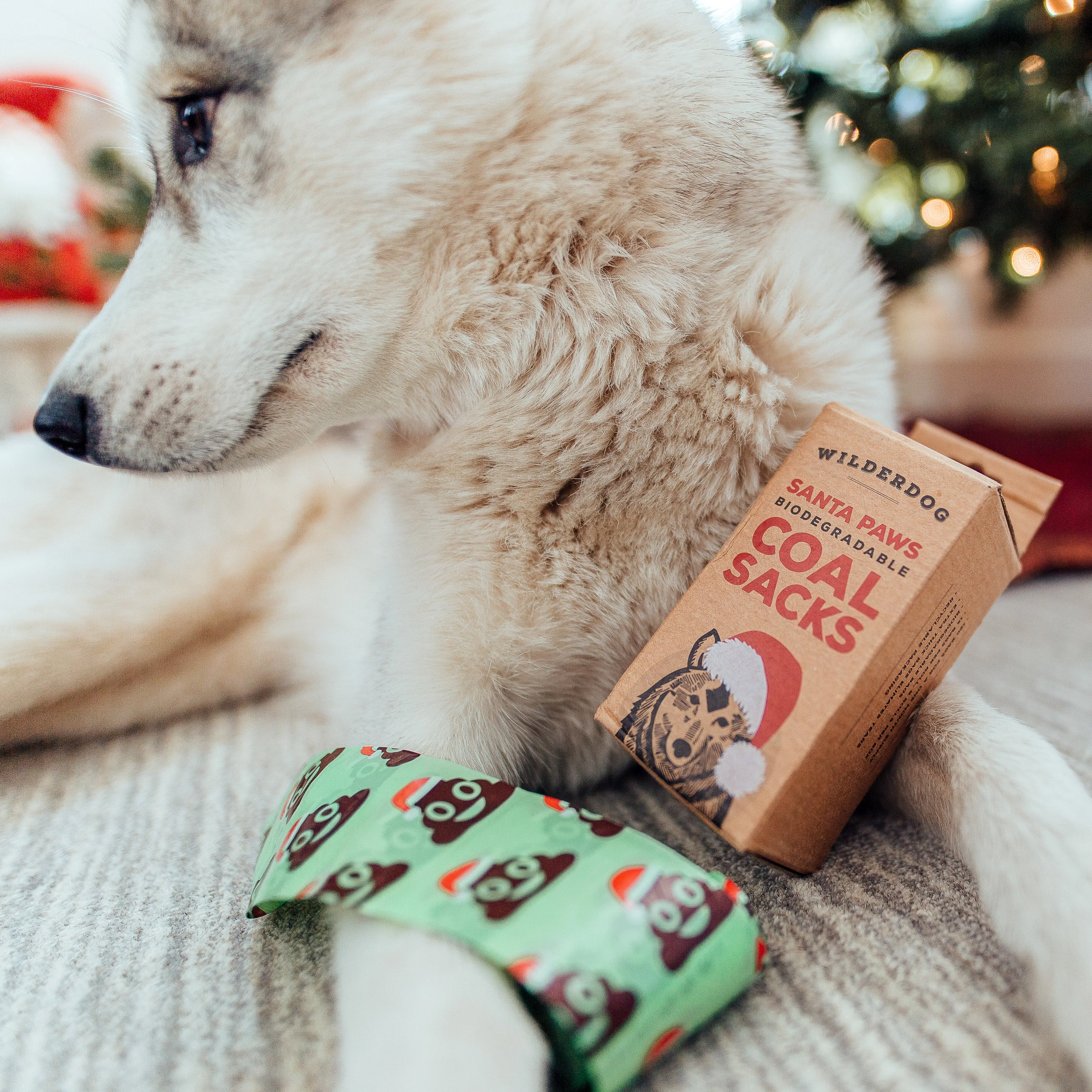 Santa Paws Poop Bags